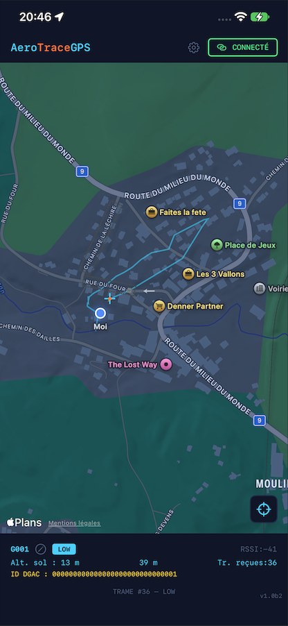 Live map view with flight path and pilot position